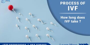 Process of IVF How long does IT take